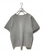 HOMME PLISSE ISSEY MIYAKEオム プリッセ イッセイ ミヤケ）の古着「プリーツカットソー」｜グレー