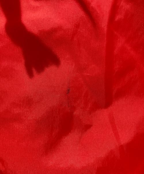 COMME des GARCONS HOMME PLUS（コムデギャルソンオムプリュス）COMME des GARCONS HOMME PLUS (コムデギャルソンオムプリュス) ハーフパンツ レッド サイズ:Sの古着・服飾アイテム