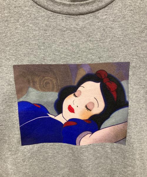 SUPREME（シュプリーム）Supreme (シュプリーム) Snow White Tee グレー サイズ:Lの古着・服飾アイテム