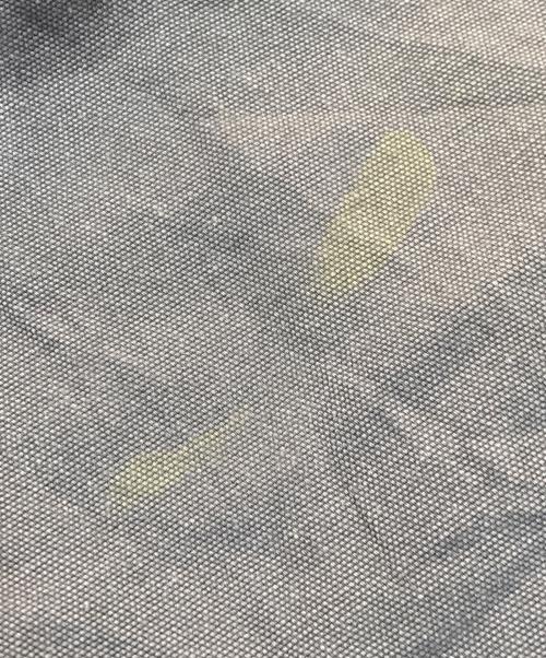 CarHartt（カーハート）CarHartt (カーハート) タックパンツ グレー サイズ:34の古着・服飾アイテム