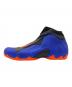 NIKE (ナイキ) AIR FLIGHTPOSITE ブルー サイズ:28.5：10000円