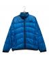 THE NORTH FACE（ザ ノース フェイス）の古着「ダウンジャケット」｜ブルー