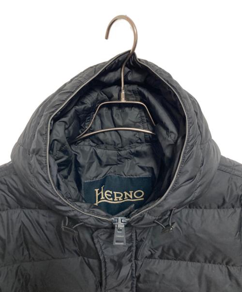 HERNO（ヘルノ）HERNO (ヘルノ) ポーラテック フーディダウン ジャケット ブラック サイズ:48の古着・服飾アイテム