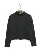 ANAYIアナイ）の古着「ファインメリノパールネック プルオーバー」｜グレー