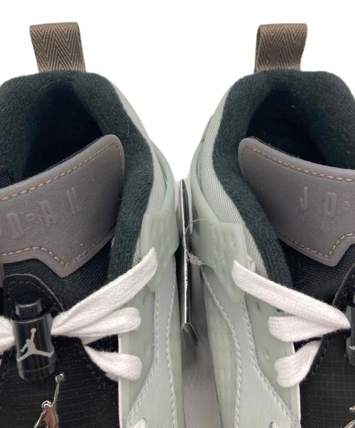 NIKE（ナイキ）NIKE (ナイキ) Jordan Spizike Low グレー サイズ:27.5㎝ 未使用品の古着・服飾アイテム