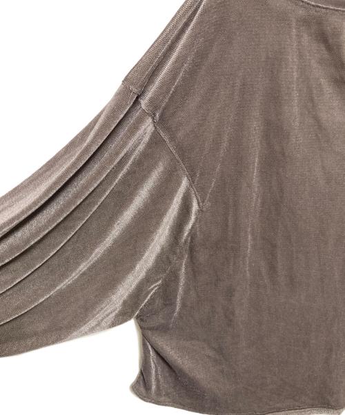 ROSIEE（ロージー）ROSIEE (ロージー) ベロアメッシュゆったりTOPS グレー サイズ:FREEの古着・服飾アイテム