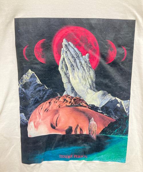 TENDER PERSON（テンダ―パーソン）TENDER PERSON (テンダ―パーソン) プリントカットソー ホワイト サイズ:2の古着・服飾アイテム