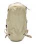 THE NORTH FACE（ザ ノース フェイス）の古着「Mercury 16」｜ベージュ