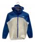 THE NORTH FACE（ザ ノース フェイス）の古着「STRIKE TRAIL HOODIE」｜ホワイト×ブルー