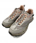 REEBOKリーボック）の古着「ZIG KINETICA 2.5 EDGE」｜ベージュ