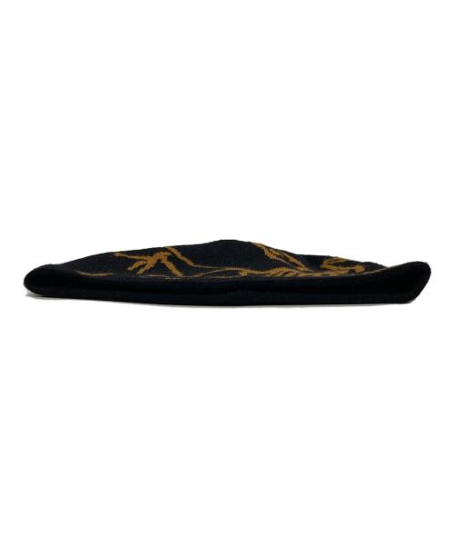 ARC'TERYX（アークテリクス）ARC'TERYX (アークテリクス) Bird Head Toque ニット帽 ブラックの古着・服飾アイテム