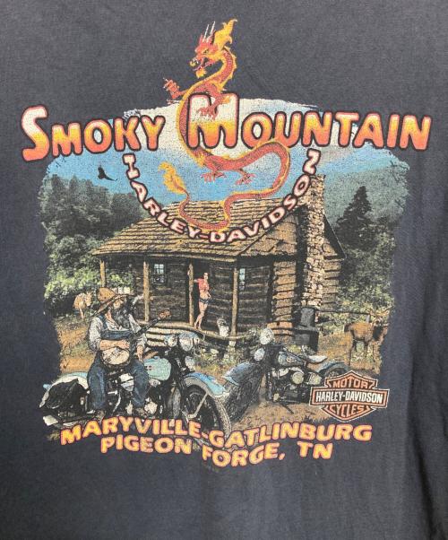 HARLEY-DAVIDSON（ハーレーダビッドソン）HARLEY-DAVIDSON (ハーレーダビッドソン) プリントTシャツ ネイビー サイズ:2XLの古着・服飾アイテム