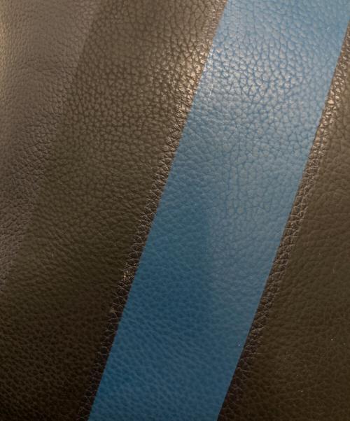 COACH（コーチ）COACH (コーチ) ショルダーバッグ ネイビーの古着・服飾アイテム