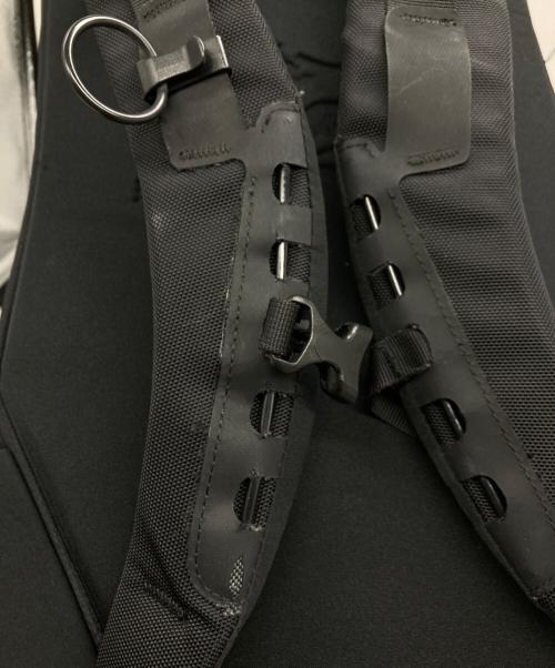 ARC'TERYX（アークテリクス）ARC'TERYX (アークテリクス) Arro22 BACKPACKの古着・服飾アイテム