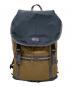 Patagonia（パタゴニア）の古着「Arbor Classic Pack 25L」｜ベージュ