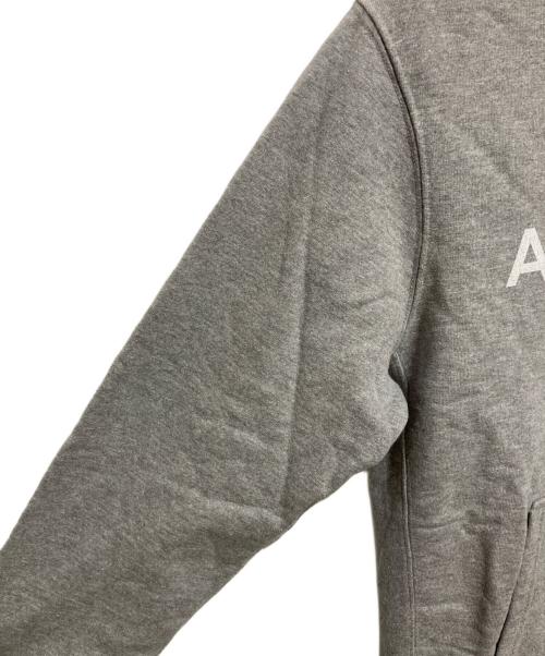 APPLEBUM（アップルバム）APPLEBUM (アップルバム) プルオーバーパーカー グレー サイズ:Lの古着・服飾アイテム