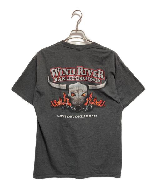 HARLEY-DAVIDSON（ハーレーダビッドソン）HARLEY-DAVIDSON (ハーレーダビッドソン) プリントTシャツ グレー サイズ:Lの古着・服飾アイテム