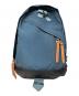 GREGORY（グレゴリー）の古着「DAY PACK 1977」｜ブルー