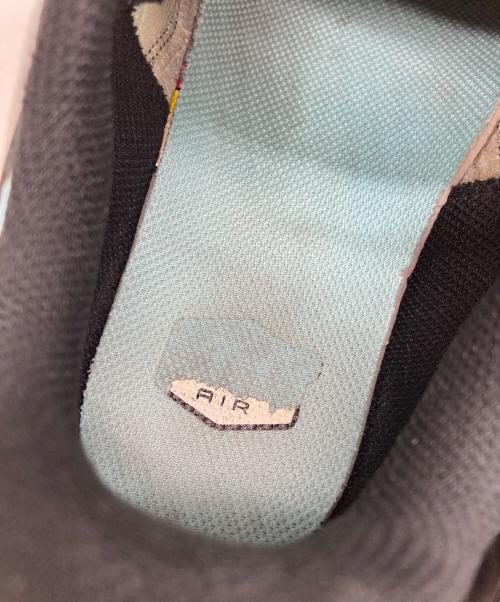 NIKE（ナイキ）NIKE (ナイキ) AIR MAX PLUS ブルー サイズ:9の古着・服飾アイテム