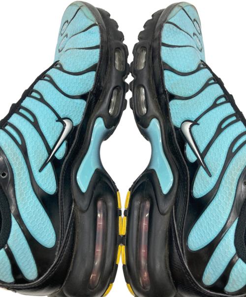 NIKE（ナイキ）NIKE (ナイキ) AIR MAX PLUS ブルー サイズ:9の古着・服飾アイテム