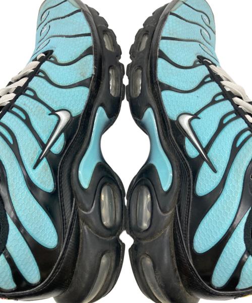 NIKE（ナイキ）NIKE (ナイキ) AIR MAX PLUS ブルー サイズ:9の古着・服飾アイテム