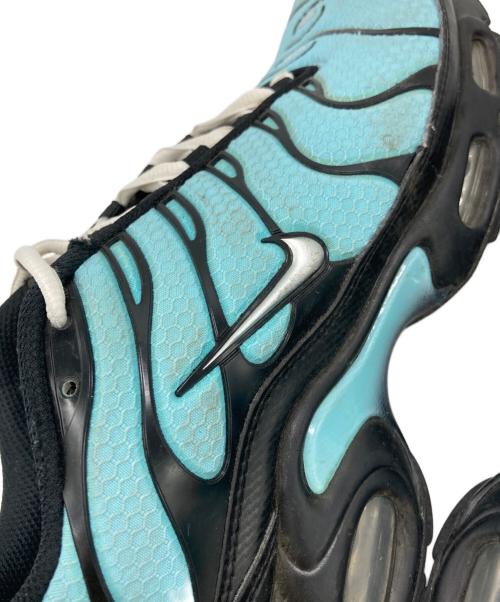 NIKE（ナイキ）NIKE (ナイキ) AIR MAX PLUS ブルー サイズ:9の古着・服飾アイテム