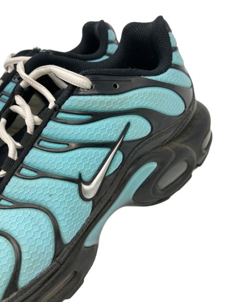 NIKE（ナイキ）NIKE (ナイキ) AIR MAX PLUS ブルー サイズ:9の古着・服飾アイテム