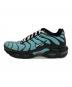 NIKE (ナイキ) AIR MAX PLUS ブルー サイズ:9：8000円