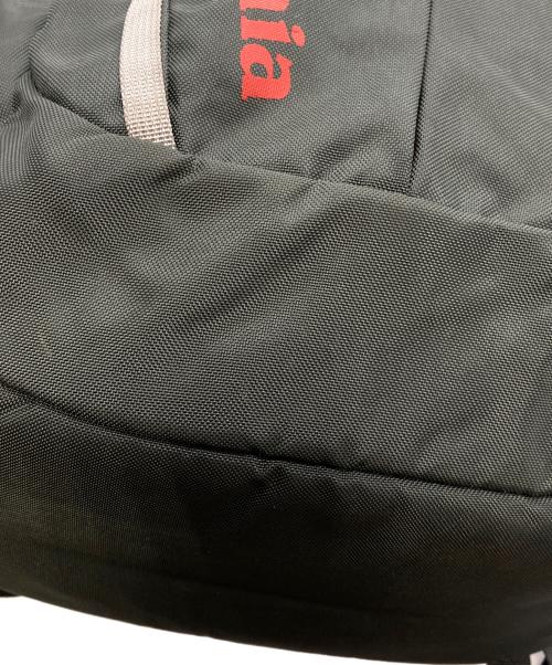 Patagonia（パタゴニア）Patagonia (パタゴニア) Refugio Pack 28L グレーの古着・服飾アイテム