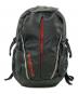 Patagonia（パタゴニア）の古着「Refugio Pack 28L」｜グレー