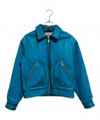 BEAMS FUTURE ARCHIVEビームスフューチャーアーカイブ）の古着「Pigment Leather Jacket」｜ブルー