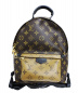 LOUIS VUITTON（ルイヴィトン）の古着「パームスプリングス・バックパックPM」｜ベージュ×ブラウン