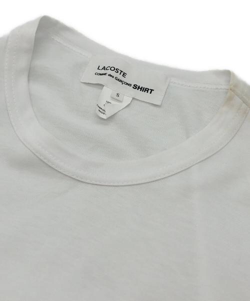 LACOSTE（ラコステ）LACOSTE (ラコステ) COMME des GARCONS SHIRT (コムデギャルソンシャツ) ツイストカットソー ホワイト サイズ:Sの古着・服飾アイテム