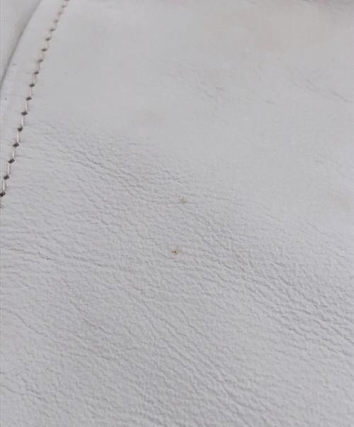 Reminiscence（レミニセンス）Reminiscence (レミニセンス) レザージャケット ホワイト サイズ:38の古着・服飾アイテム