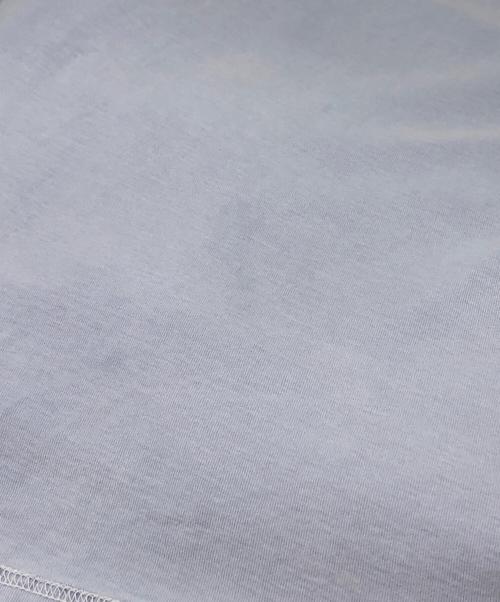 stussy（ステューシー）stussy (ステューシー) Lazy Tee ブルー サイズ:XLの古着・服飾アイテム