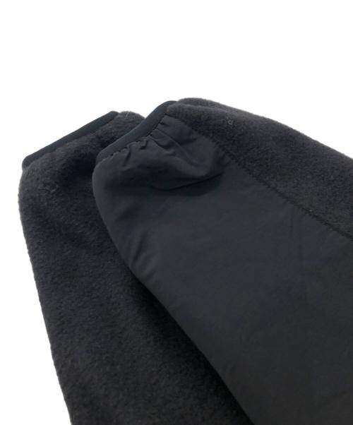 THE NORTH FACE（ザ ノース フェイス）THE NORTH FACE (ザ ノース フェイス) DENALI HOODIE ブラック サイズ:L 未使用品の古着・服飾アイテム