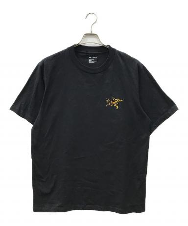 00s アークテリクス 旧タグ スキープリント Tシャツ ビンテージt 黒 中古・古着通販】ARC'TERYX (アークテリクス) KRAGG COTTON LOGO SS