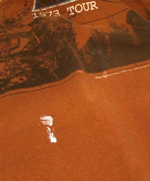 AAA（トリプルエー）AAA (トリプルエー) 狂気プリントTシャツ ブラウン サイズ:XLの古着・服飾アイテム