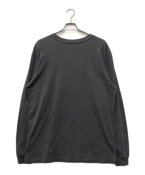 THE NORTH FACE（ザ ノース フェイス）THE NORTH FACE (ザ ノース フェイス) KAWS (カウズ) ロングスリーブカットソー グレー サイズ:Lの古着・服飾アイテム