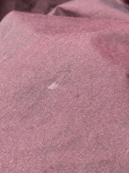 KEISUKEYOSHIDA（ケイスケヨシダ）KEISUKEYOSHIDA (ケイスケヨシダ) big ribbon shirt ボルドー サイズ:FREEの古着・服飾アイテム