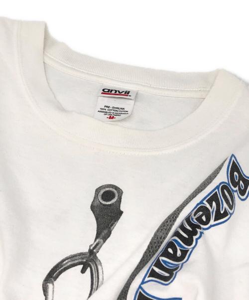 anvil（アンヴィル）anvil (アンヴィル) ARC'TERYX (アークテリクス) 00's プリントTシャツ ホワイト サイズ:Mの古着・服飾アイテム