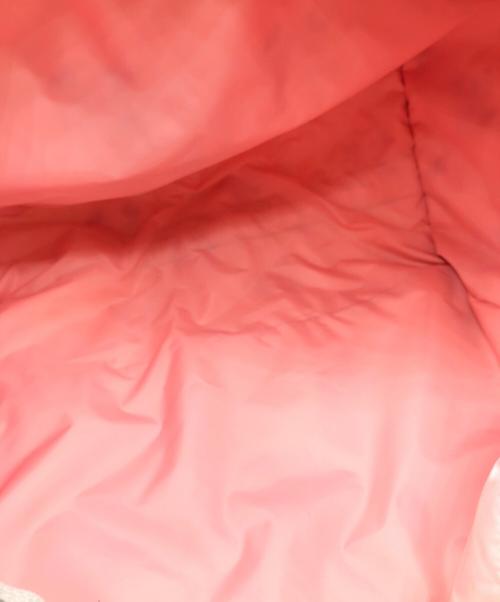 LeSportsac（レスポートサック）LeSportsac (レスポートサック) DISNEY (ディズニー) ボストンバッグ ピンク サイズ:下記参照の古着・服飾アイテム