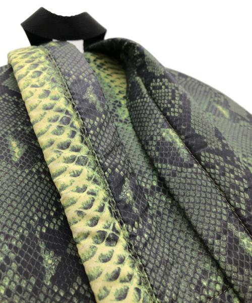 SUPREME（シュプリーム）Supreme (シュプリーム) THE NORTH FACE (ザ ノース フェイス) Snakeskin Lightweight Day Pack グリーン サイズ:下記参照の古着・服飾アイテム