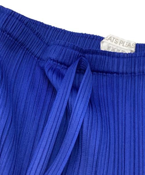 PLEATS PLEASE（プリーツプリーズ）PLEATS PLEASE (プリーツプリーズ) プリーツスカート ブルー×ホワイト サイズ:2の古着・服飾アイテム