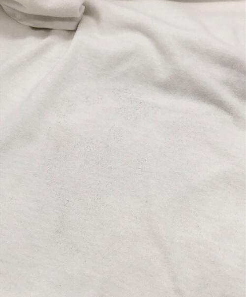 TULTEX（タルテックス）TULTEX (タルテックス) バンドTシャツ ホワイト サイズ:SIZE Lの古着・服飾アイテム