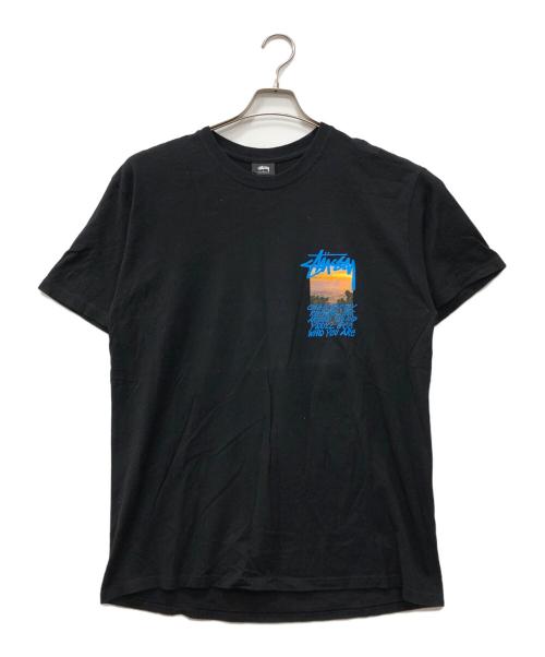 stussy（ステューシー）stussy (ステューシー) Clear Day Tシャツ ブラック サイズ:Lの古着・服飾アイテム