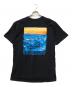 stussy (ステューシー) Clear Day Tシャツ ブラック サイズ:L：7000円