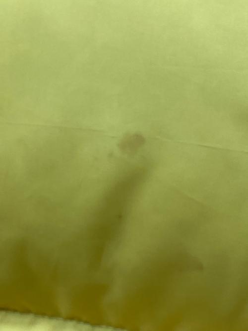 POLO SPORT（ポロスポーツ）POLO SPORT (ポロスポーツ) ダウンジャケット イエロー サイズ:Lの古着・服飾アイテム