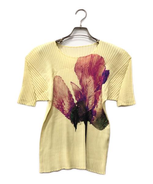 PLEATS PLEASE（プリーツプリーズ）PLEATS PLEASE (プリーツプリーズ) PRESSED FLORAプリーツカットソー ベージュ サイズ:2の古着・服飾アイテム