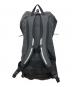 ARC'TERYX (アークテリクス) ALPHA FL 30 BACKPACK グレー サイズ:下記参照：18000円